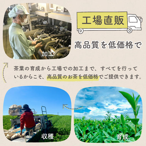 “不含咖啡因”的魔芋葉 280g 棒狀焙茶